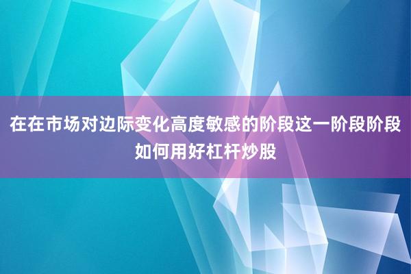 在在市场对边际变化高度敏感的阶段这一阶段阶段如何用好杠杆炒股