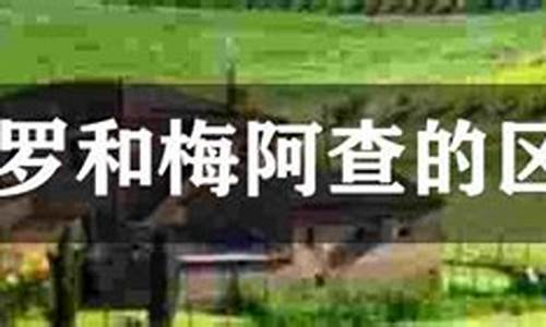 梅阿查还是圣西罗_圣西罗梅阿查区别