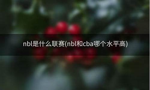 nbdl和cba哪个水平高_cba和nbl实力差距