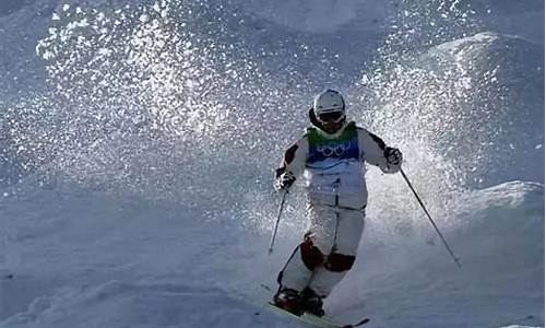 自由式滑雪冬季奥运会-自由式滑雪奥运冠军