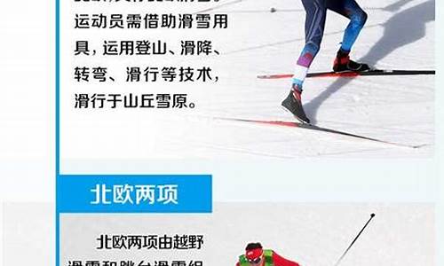 冬奥会15项目名称-冬奥会的15个项目分别是什么